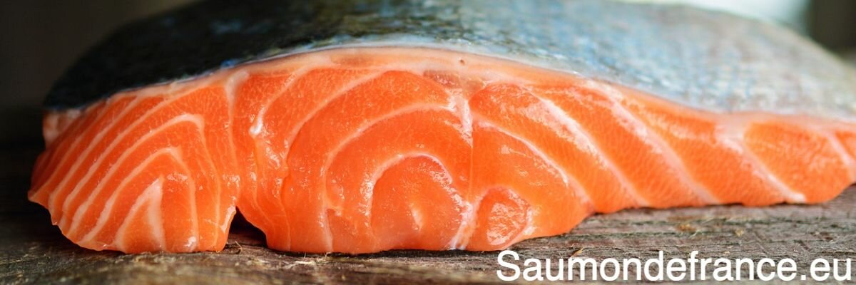 saumondefrance.eu saumondefrance.eu